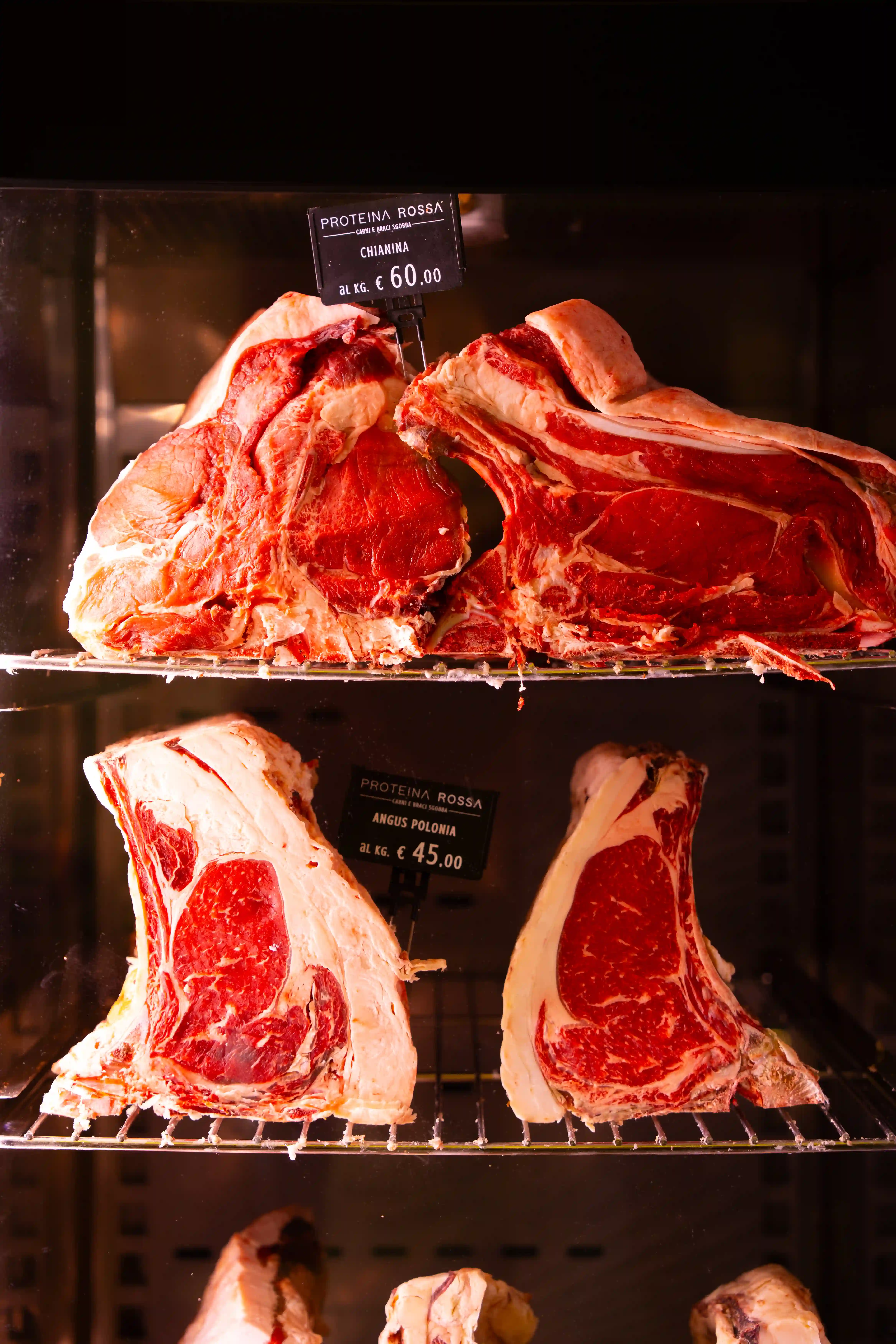 CHIANINA E ANGUS