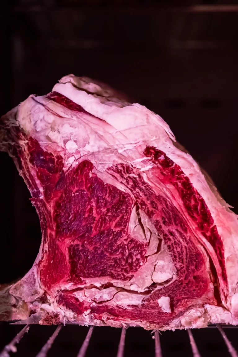 Steak razza Jersey Danimarca